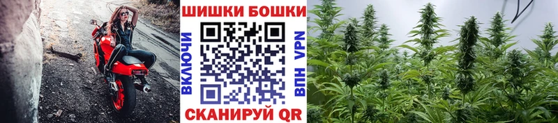 Шишки марихуана MAZAR  где продают наркотики  Протвино 
